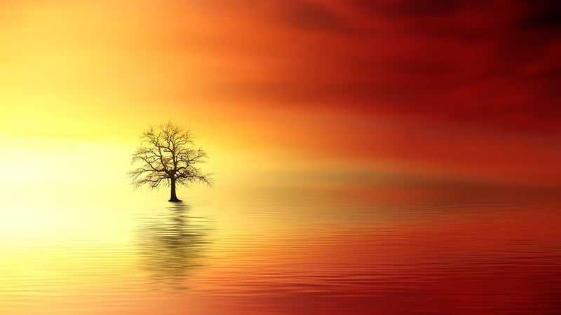Ethereal Ambiance