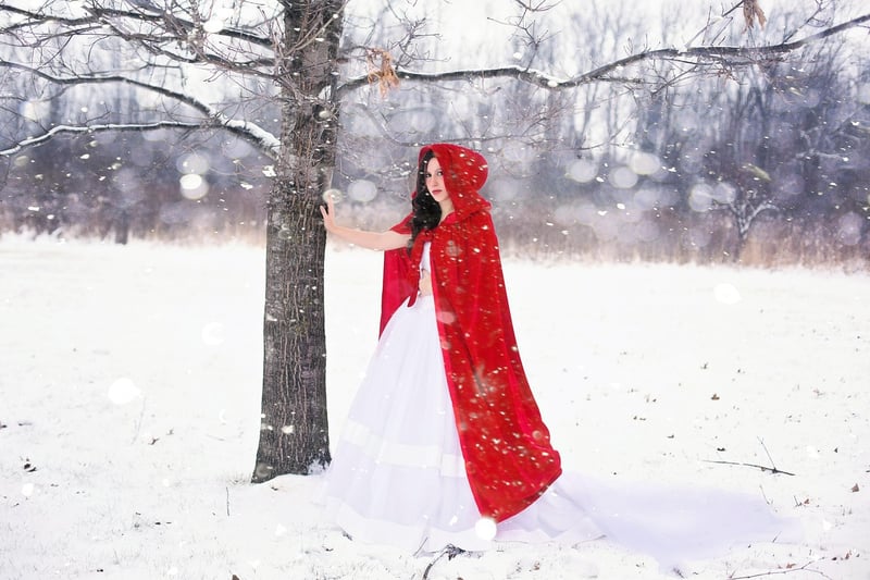 Fairy Tale Princess Gown